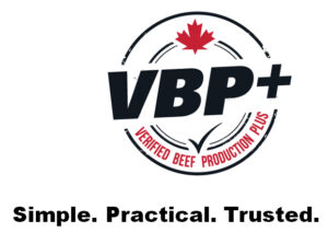 vbp logo and text