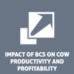 BCRC impact of body condition score on cow productivity and profitability