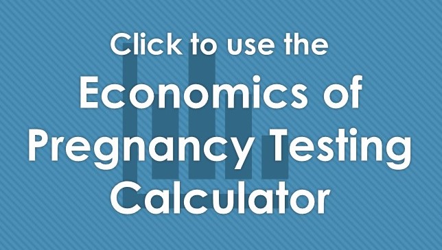 Economics of pregnancy testing calculator