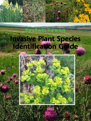 invasive plant species identification guide