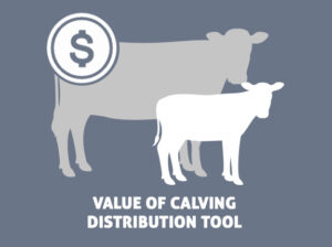 Beef Cattle Research Council value of calving distribution tool