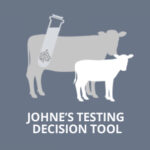 Johne's Testing Decision Tool