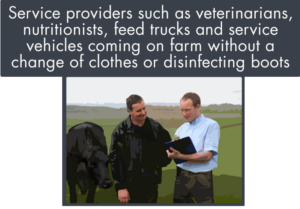 service providers such as veterinarians or nutritionists coming on farm without a change of clothes can be a biosecurity risk for a beef herd