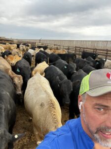 Leighton Kolk and his dairy-beef crossed calves in Iron Springs, Alberta