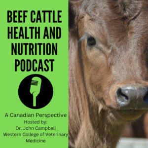 Beef Cattle Health and Nutrition Podcast with Dr. John Campbell

