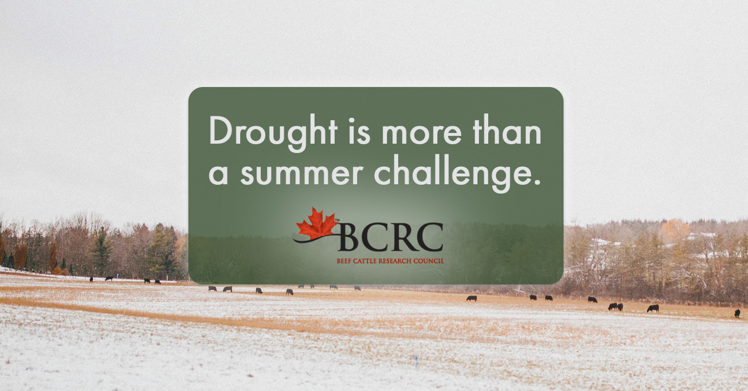 drought is more than a summer challenge.
