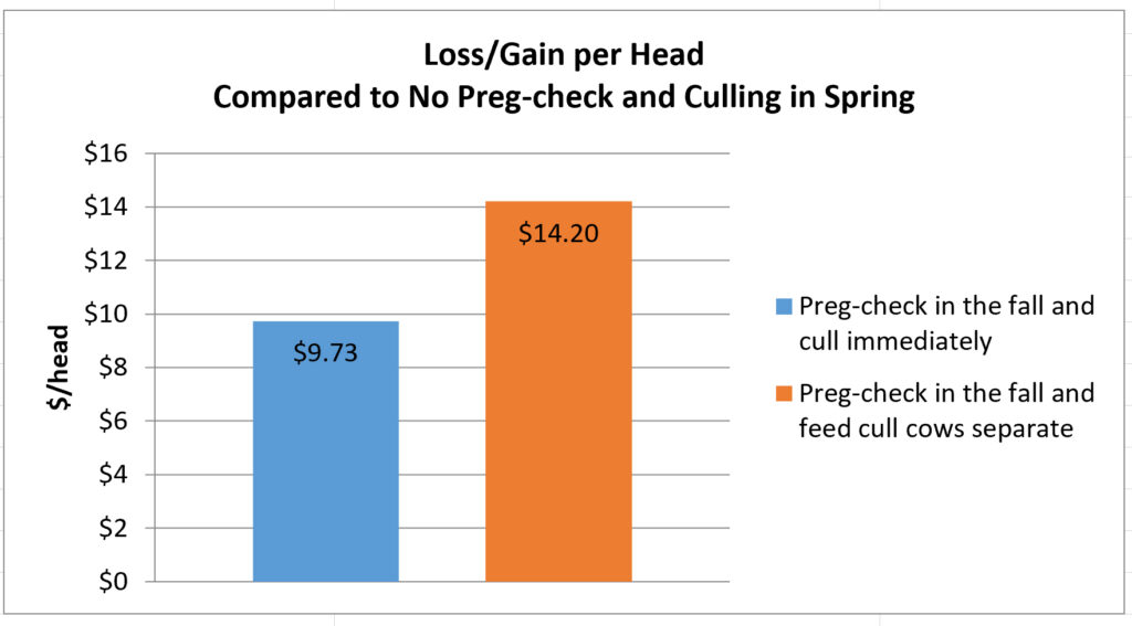 Loss-gain per head compared to no preg-check and culling in spring