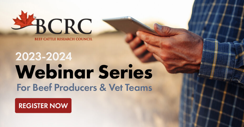 2023-2024 webinar series for beef producers and veterinary teams