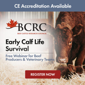 BCRC beef webinar: Early Calf Life Survival