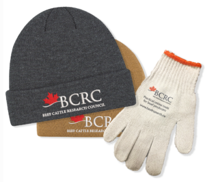 BCRC toque and gloves
