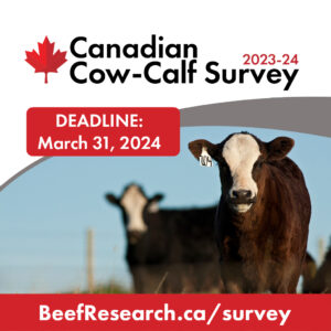 cow-calf survey
