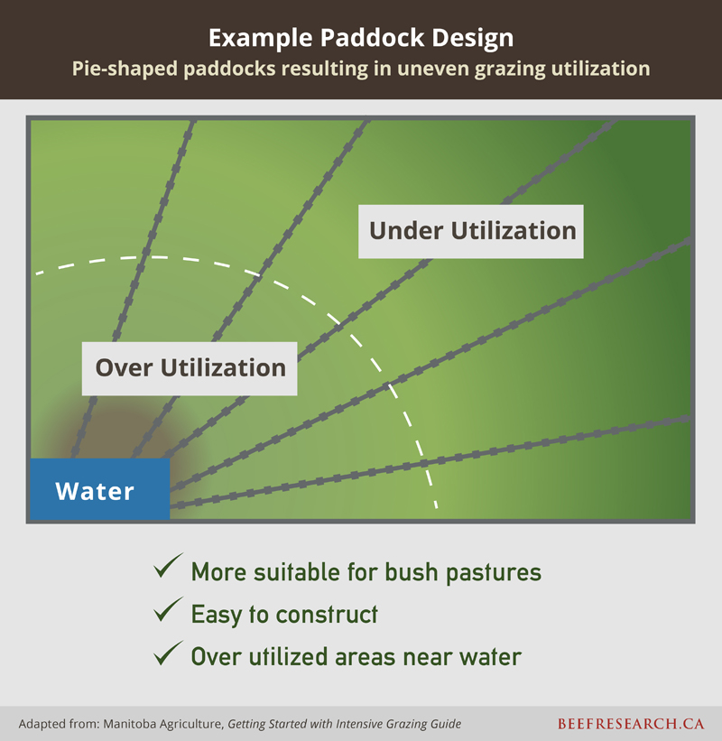Grazing Management Beef Cattle Research Council