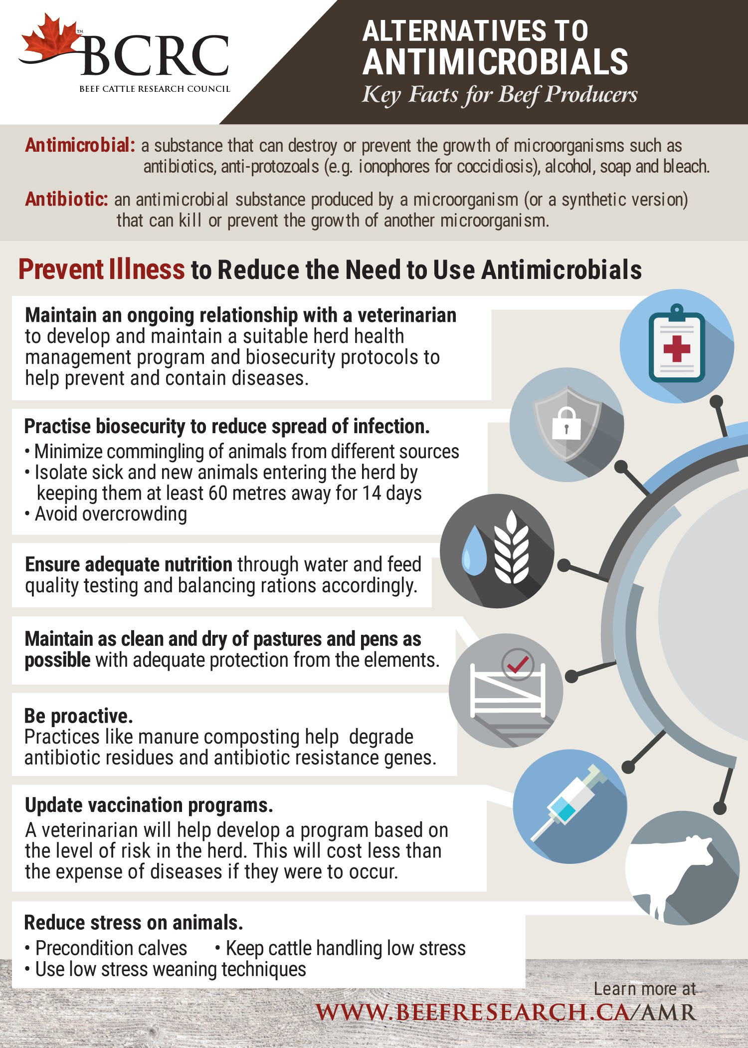 Infographic: Alternatives to Antimicrobials - Key Facts for Canadian Beef Producers
