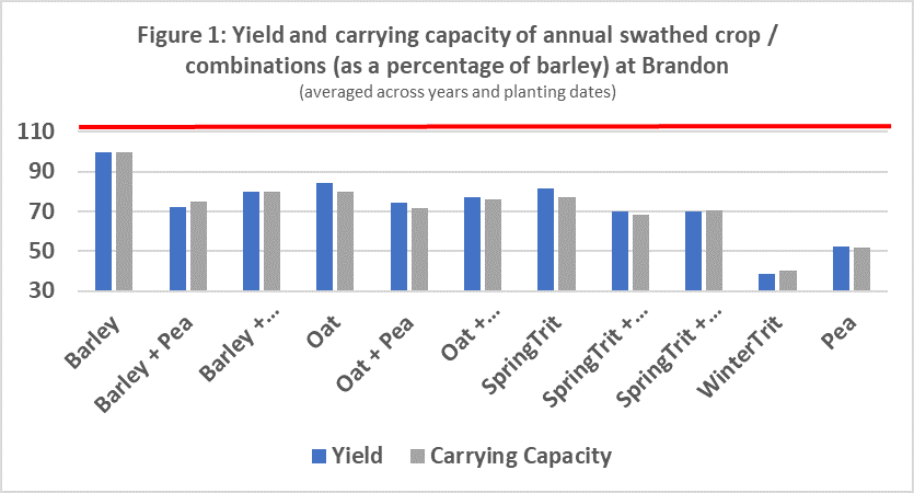 Yield and carrying capacity of annual swathed crop combinations at Brandon