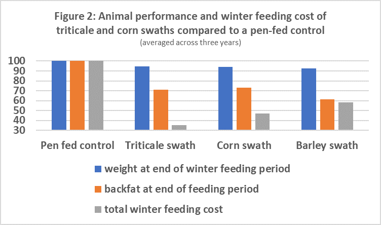 Animal performance and winter feeding cost of triticale and corn swaths compared to a pen-fed control