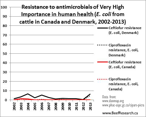 antimicrobial drug resistance high importance e.coli cattle canada vs denmark