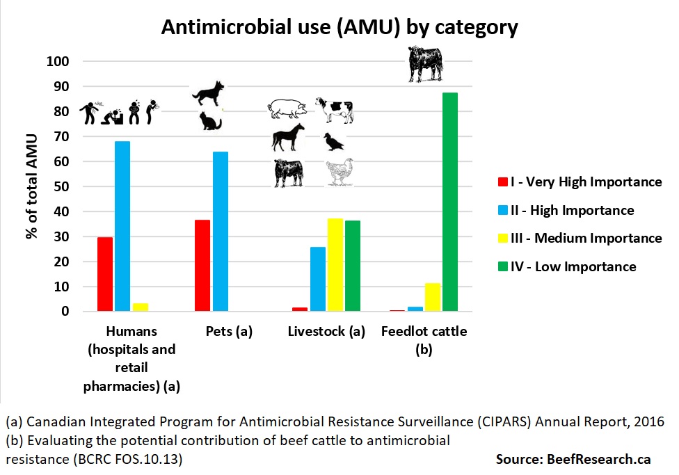 Cow Classification Chart