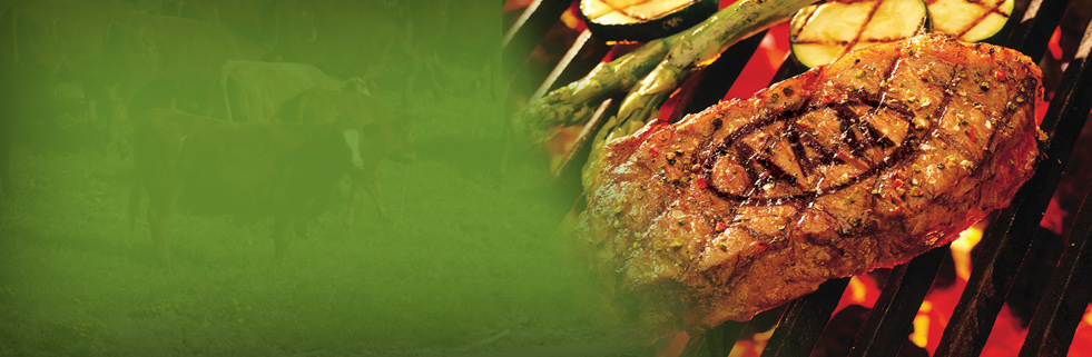 Beef Quality