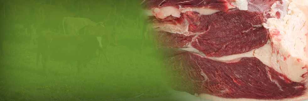 Food Safety