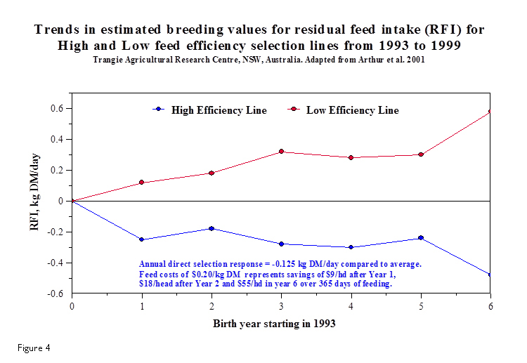 How To Calculate Feed Efficiency In Beef Cattle At Emma Gwen Blog