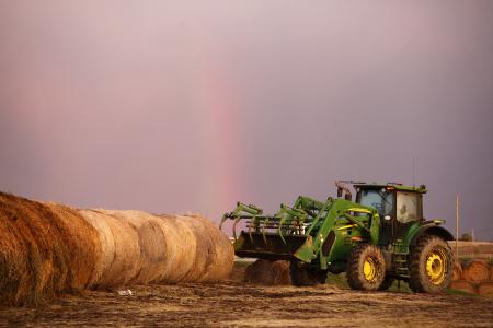 storing forage hay silage