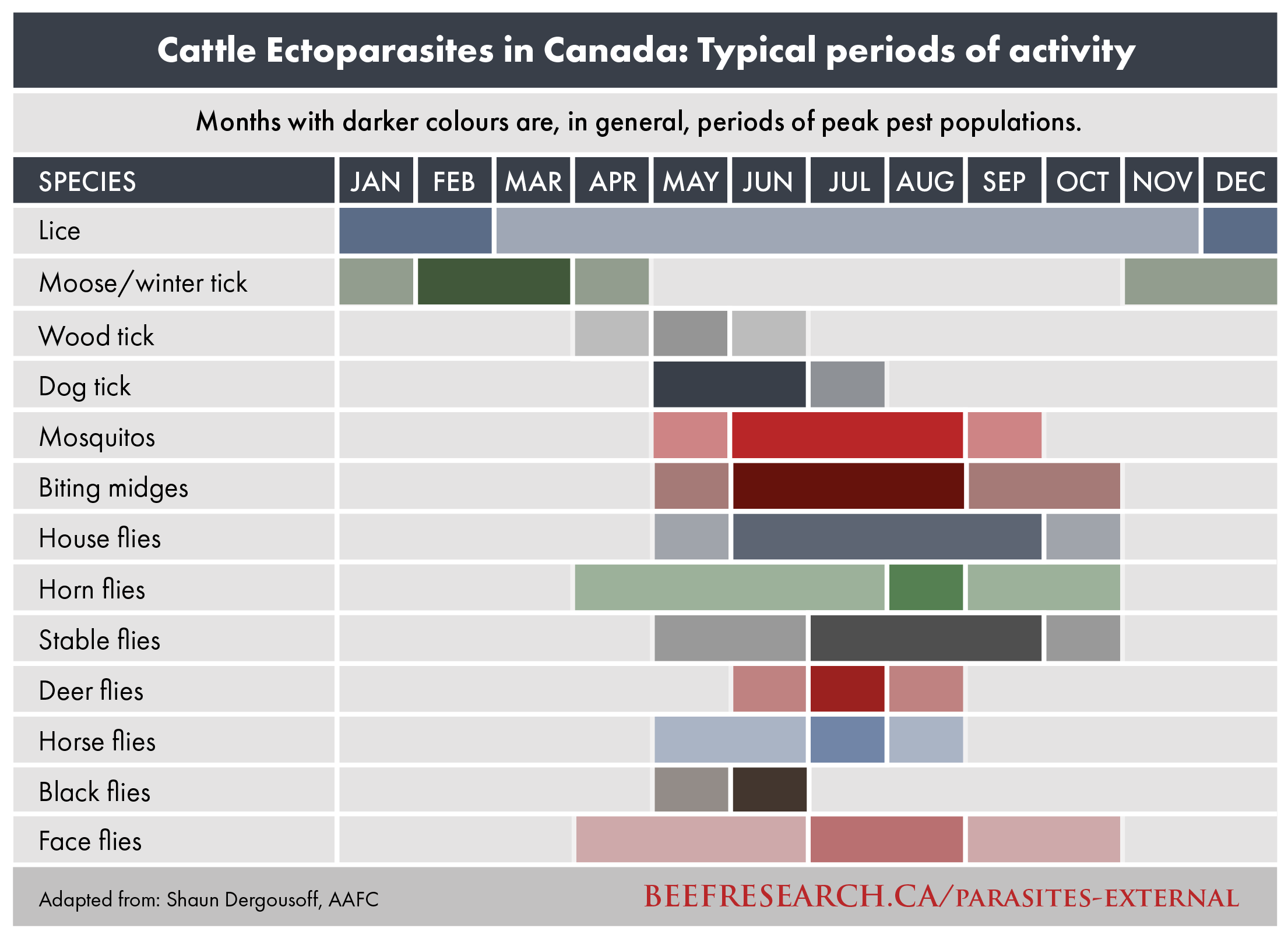 cattle ectoparasites in Canada
