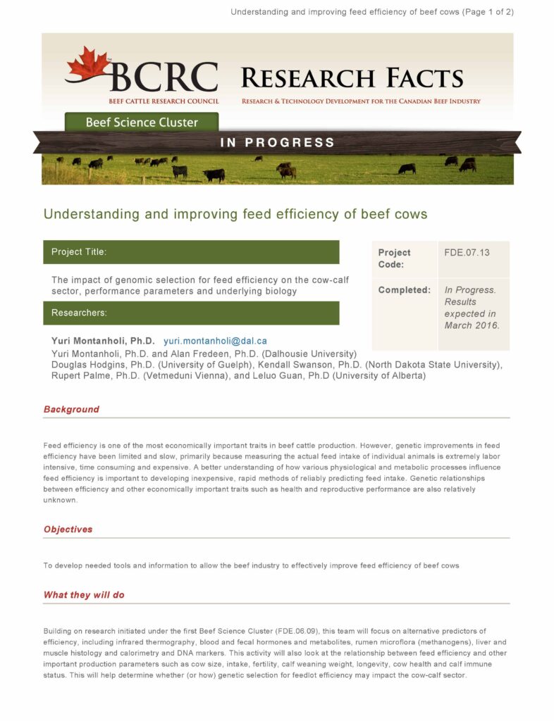 Understanding and Improving Feed Efficiency of Beef Cows BeefResearch.ca