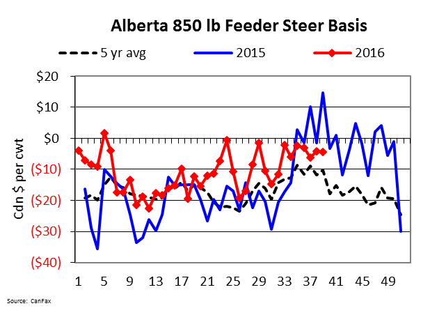 AB 850lb feeder steer basis 2016