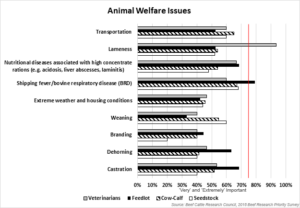 BCRC Beef Research Priority Survey Results - Animal Welfare Issues