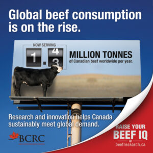 Global beef consumption is on the rise. Research and innovation helps Canada sustainably meet global demand for beef.