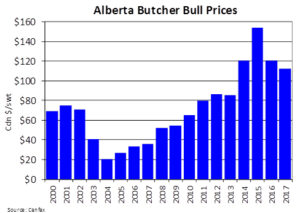 Alberta butcher bull prices