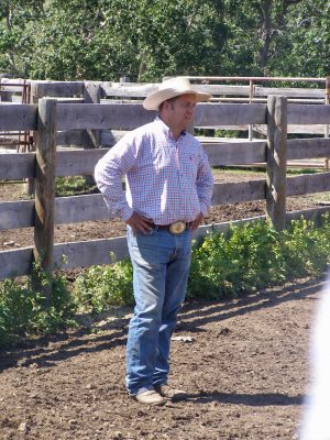 Producers with Large Herds Are Believers in Low Stress Weaning ...