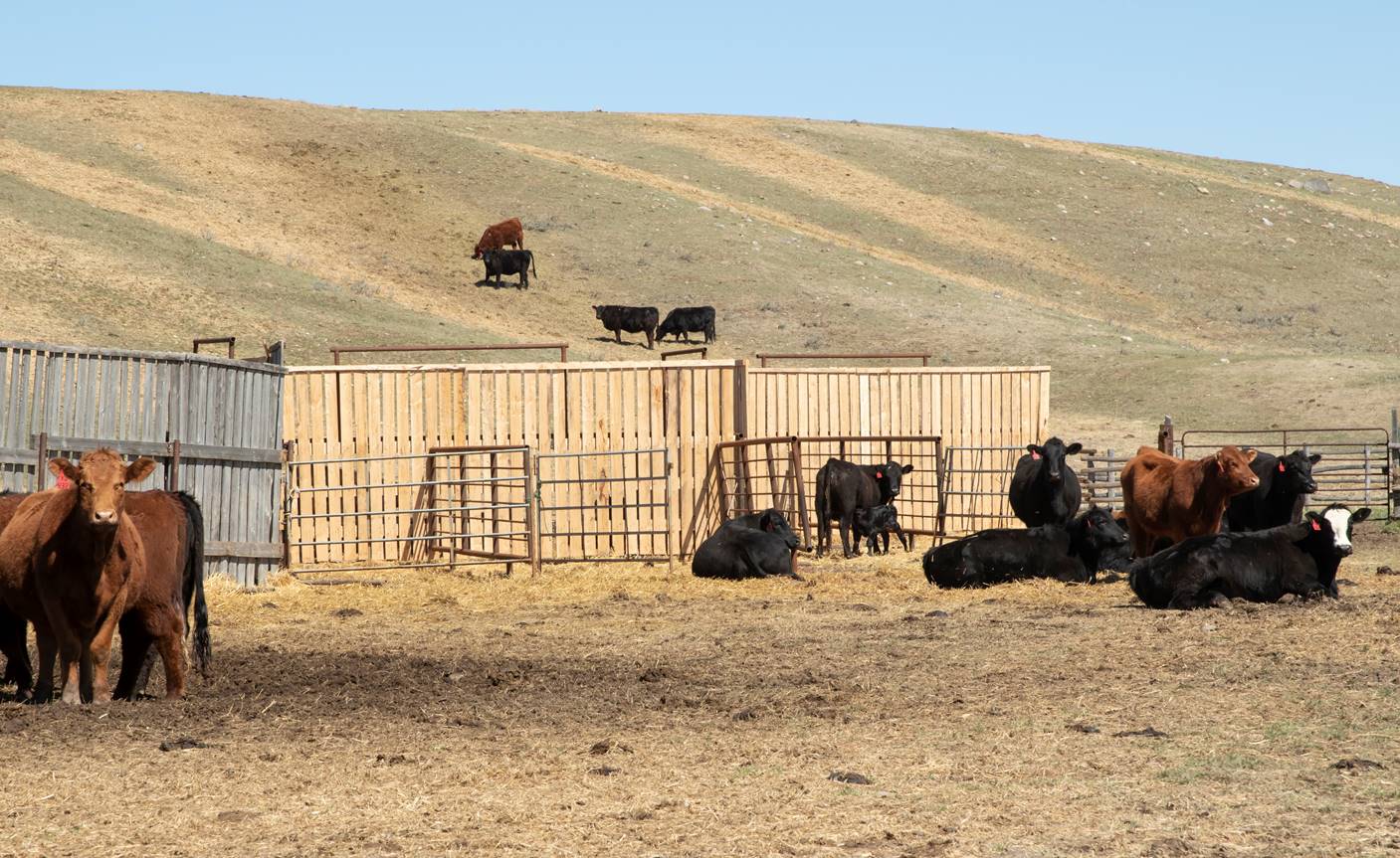 Grunt Ranch Five Producers Share Ideas That Have Made Their Farms and Ranches More ...