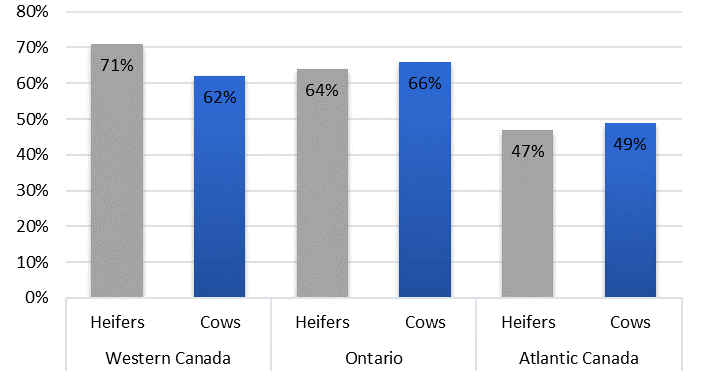 Percent of farms that pregnancy checked females.