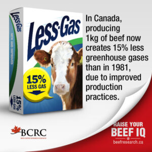 In Canada, producing 1kg of beef now creates 15% less greenhouse gases than in 1981, due to improved production practices