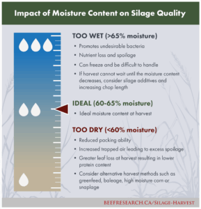 impact of moisture content on silage quality