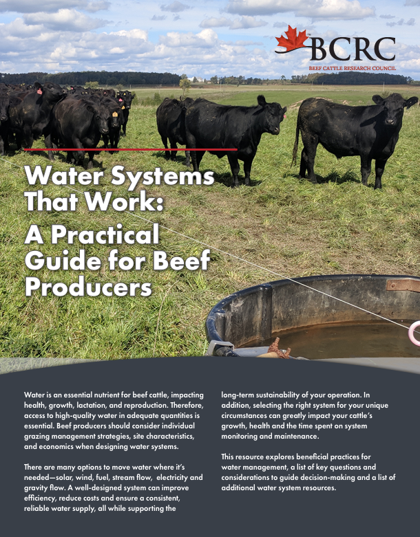 water systems that work: a practical guide for beef producers