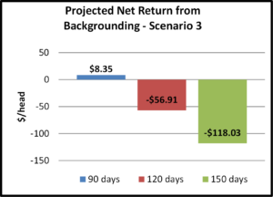 projected net return from backgrounding - scenario 3