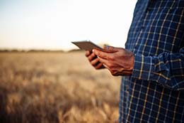 Canadian beef producer standing in pasture taking BCRC's online beef industry survey
