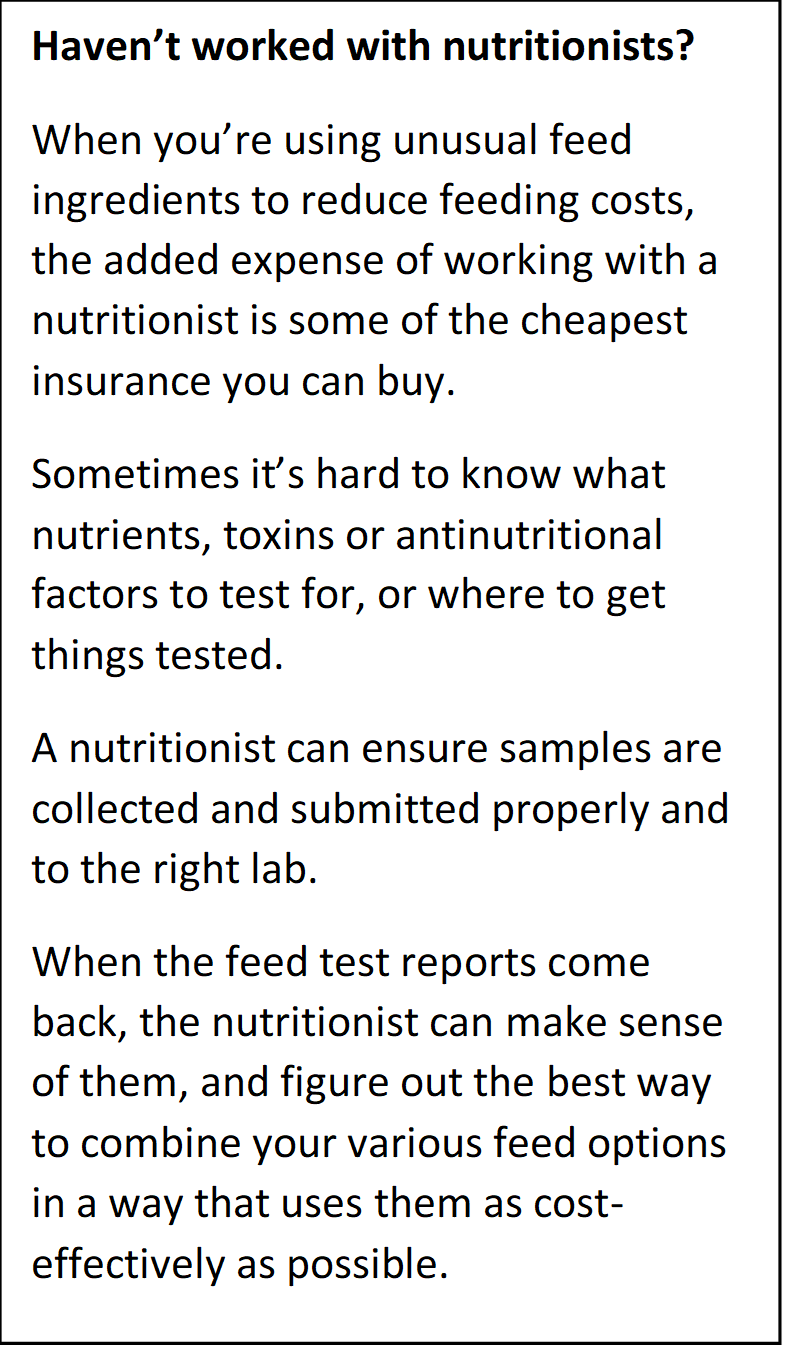 Tips for Starting Lightweight Calves on Feed BeefResearch.ca