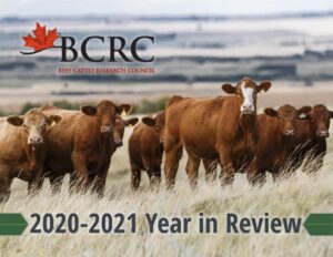 BCRC 2020-2021 Year in Review Report
