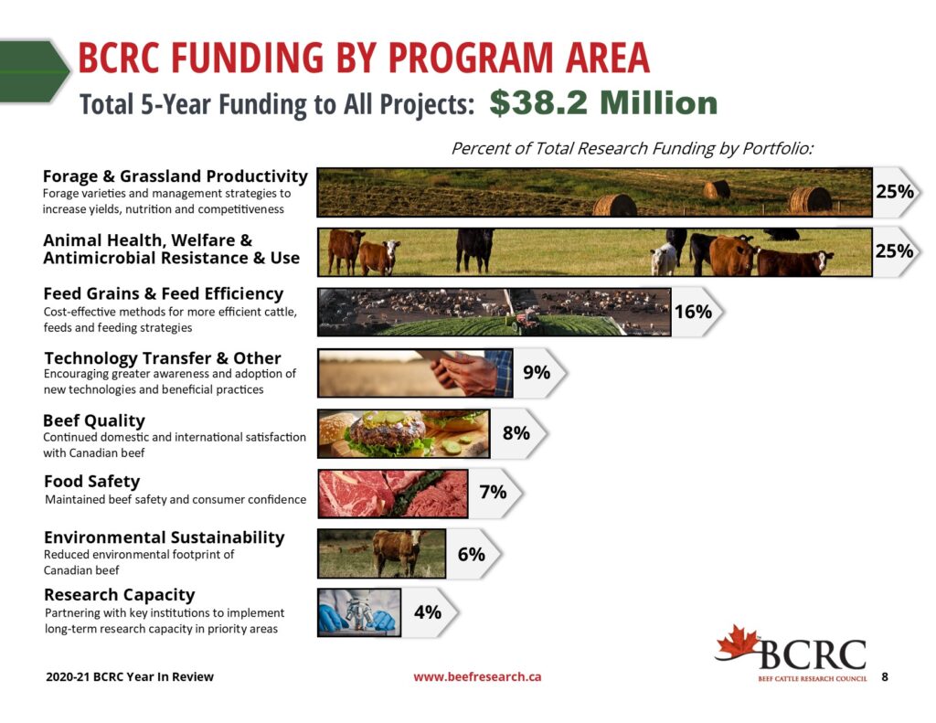 BCRC beef research funding by program area 2020-2021