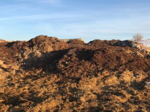 Manure composting or stockpiling breaks down growth promotant residues