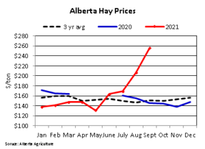 2021 Alberta hay prices compared to three-year average