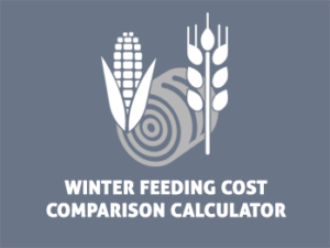 winter feeding cost comparison calculator from Beef Cattle Research Council