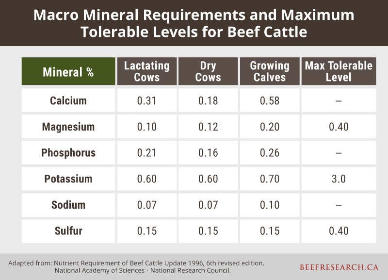 macro mineral requirements and maximum tolerable mineral levels for beef cattle