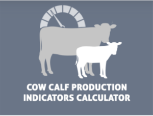 BCRC Cow Calf Production Indicators Calculator tool
