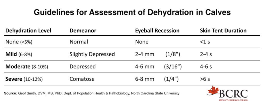 Guidelines for assessment of dehydration in young calves