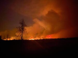 Wildfires rage across a British Columbia pasture at night