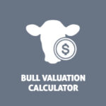 BCRC Bull Valuation Calculator
